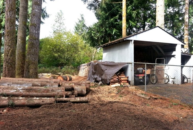 stump grinding, cutting trees, chipping trees